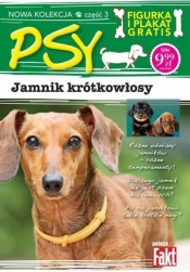 Jamnik krótkowłosy. Kolekcja Psy. Część 3. Fakt poleca (figurka + plakat) - Opracowanie zbiorowe