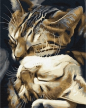 Obraz Paint it! Malowanie po numerach. Śpiące koty (BS29747)