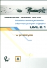 Modelowanie systemów informatycznych w języku UML 2.1 w praktyce Dąbrowski Włodzimierz