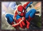 Puzzle Spiderman 4 w 1 (34120)