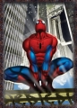 Puzzle Spiderman 4 w 1 (34120)