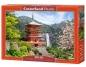 Puzzle Seiganto-ji Temple, Japan (C-103201)