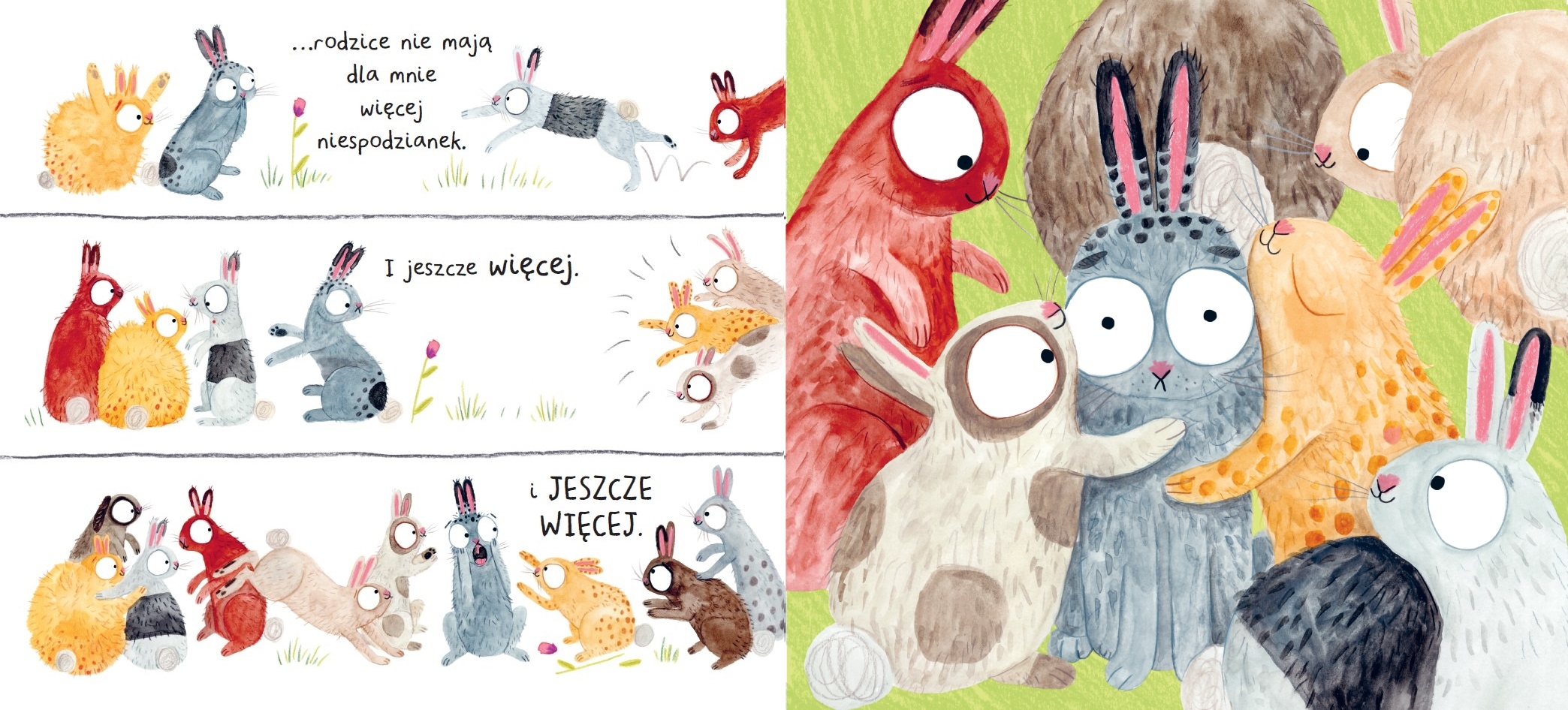 Królik! Króliki! Króliczki!