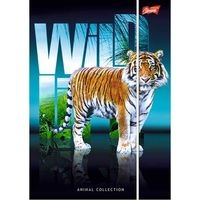 Teczka z gumką A4 Wild Life 10 sztuk