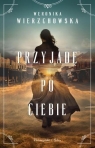 Przyjadę po ciebie DL Weronika Wierzchowska