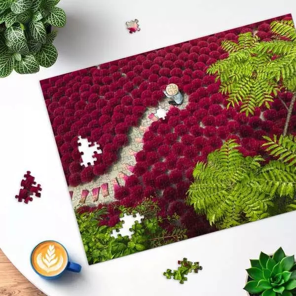 Ravensburger, Puzzle 500: Zbiory (12001707)