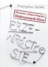 Przewróciło się Pierwsza i jedyna biografia Elektrycznych Gitar Zieliński Przemysław