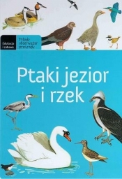 Ptaki jezior
