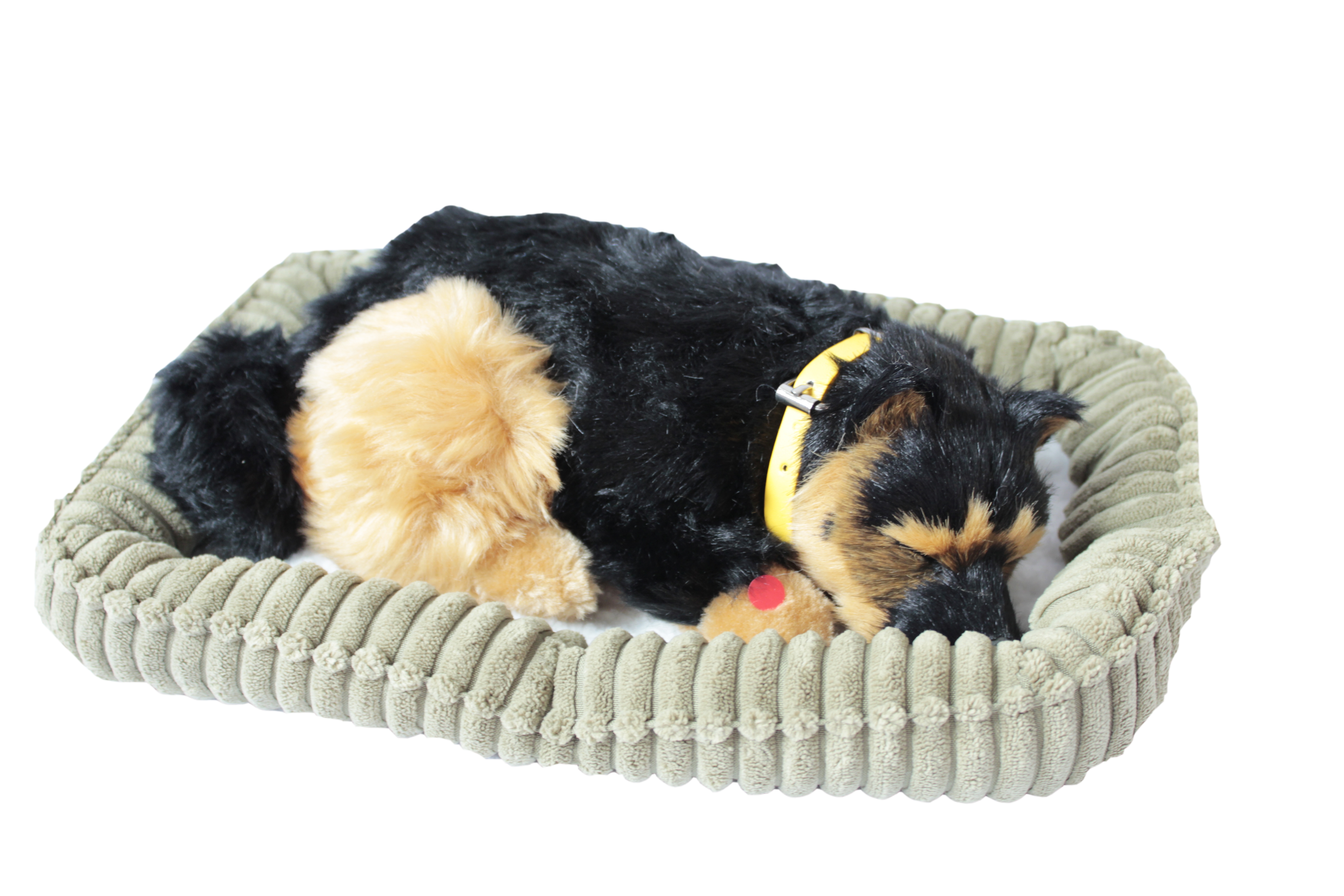 Śpiący pies na poduszce - Wilczur (107202)