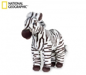 Zebra (770720)
