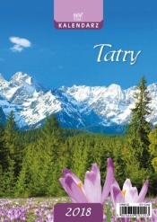 Kalendarz biurkowy pion mały - Tatry