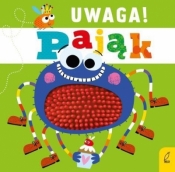 Uwaga, pająk!