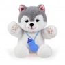  Piesek Husky