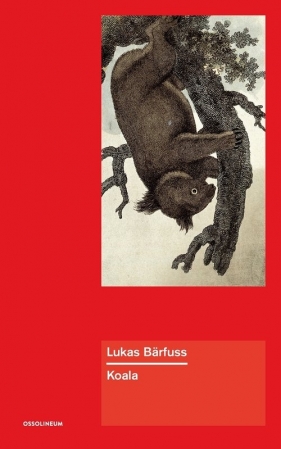 Koala - Lukas Barfuss