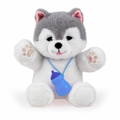 Piesek Husky