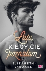 Pewnego lata. Lato, kiedy cię poznałam. Tom 1