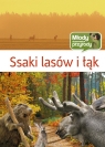 Ssaki lasów i łąk