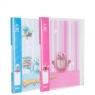 Album ofertowy A4/30 koszulek, 1 szt.