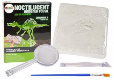 Zestaw archeologiczny dinozaur szkielet 3D