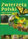 Zwierzęta Polski Atlas ilustrowany Kokurewicz Dorota