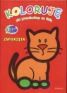 Koloruję nie przechodząc za linię. Zwierzęta  Gazda Patrycja