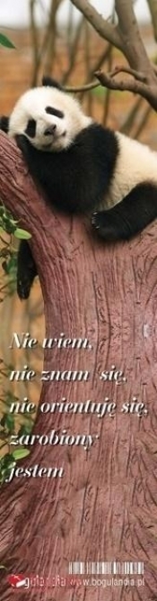 Zakładka do książki - Nie wiem, nie znam się...