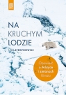 Na kruchym lodzie Opowieść o Arktyce i zmianach klimatu Stempniewicz Lech