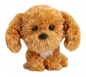 Lumo Cavapoo Teddy Classic (puppies)