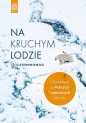 Na kruchym lodzie - Lech Stempniewicz