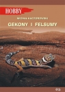 Gekony i felsumy Michał Kaczorowski