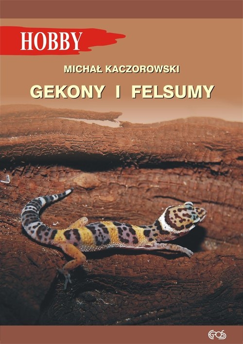 Gekony i felsumy