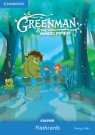 Greenman and the Magic Forest Starter Flashcards (Pack of 48) Miller Marilyn