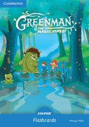 Greenman and the Magic Forest Starter Flashcards (Pack of 48) - Miller Marilyn