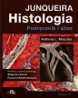 Histologia. Junqueira. Podręcznik i atlas - Anthony L. Mescher