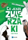 Kolorowanka: Co jedzą zwierzaki cz.3 Dawid Wysocki