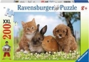 Puzzle 200 Najlepsi przyjaciele (127207)