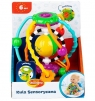  Kula sensoryczna