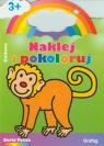 Naklej i pokoloruj Zielona Wiek 3+