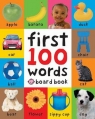 First 100 Words Priddy  Roger