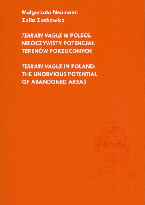 Terrain Vague w Polsce Nieoczywisty potencjał terenów porzuconych