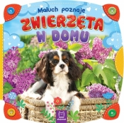 Maluch poznaje zwierzęta w domu - Opracowanie zbiorowe