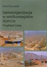  Samoorganizacja w wielkomiejskim slumsiePrzykład Limy