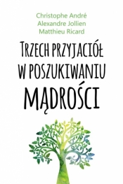 Trzech przyjaciół w posz. mądrości audiobook