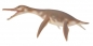 Dinozaur dolichorhynchops