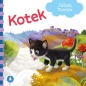 Kotek - Julian Tuwim, Julian Tuwim