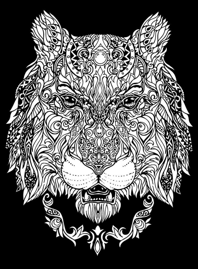 Kolorowanka Welwetowa 47x35 Lwica