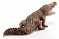 Schleich Wild Life: Krokodyl (14736)