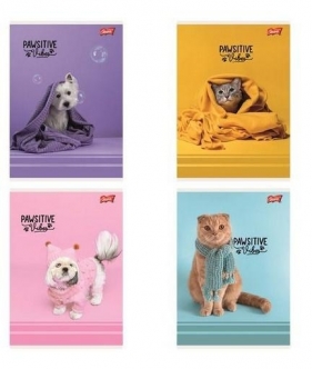 Zeszyt A5/32k linia kolorowa Pawsitive, 1 szt
