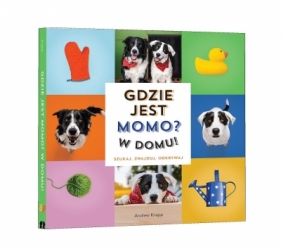 Gdzie jest Momo? W domu! - Andrew Knapp