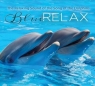 Blue Relax - Song of the Dolphins cz.3 Witchcraft Alex